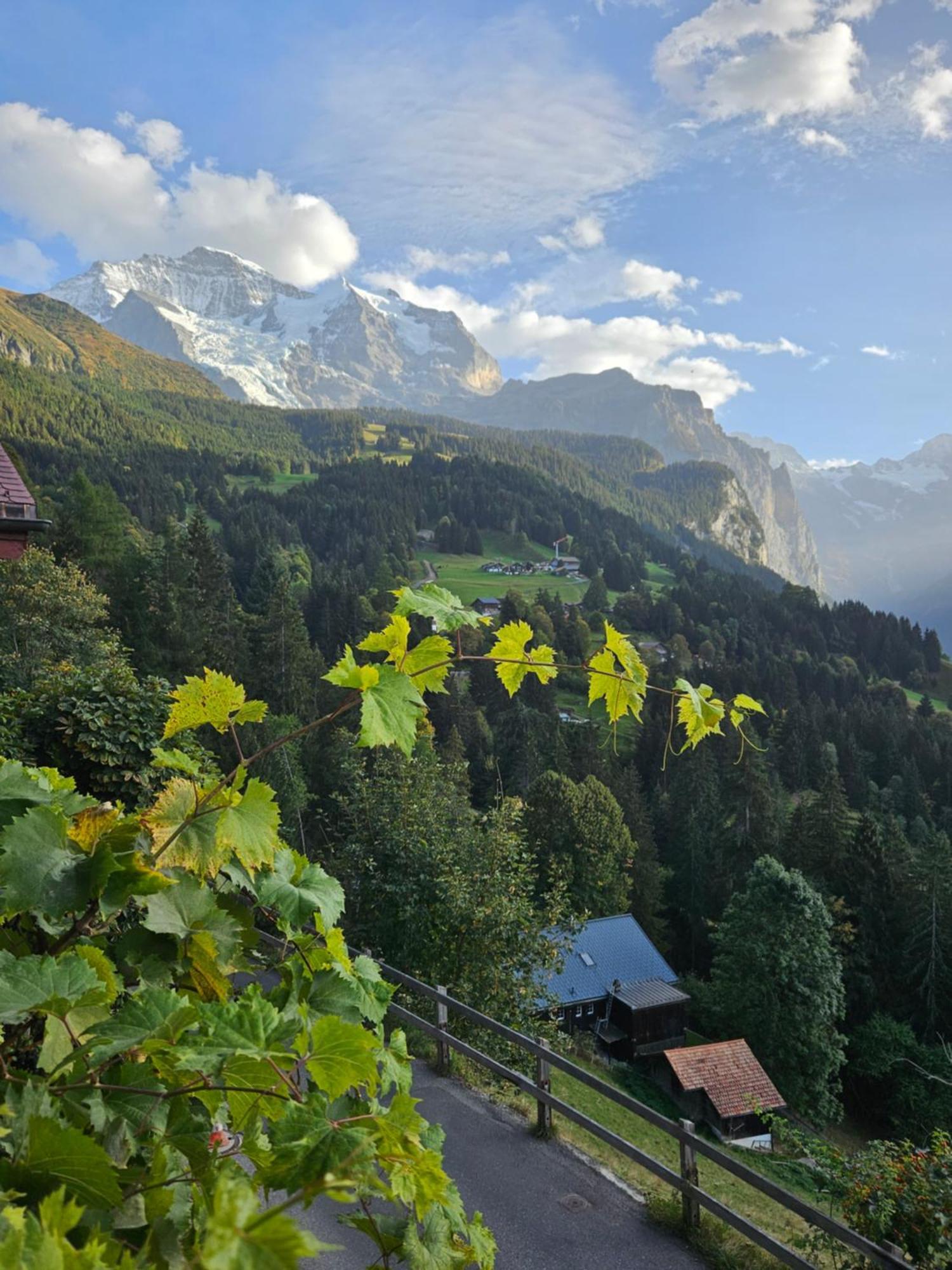 Chalet Aargovia South 벤겐 외부 사진